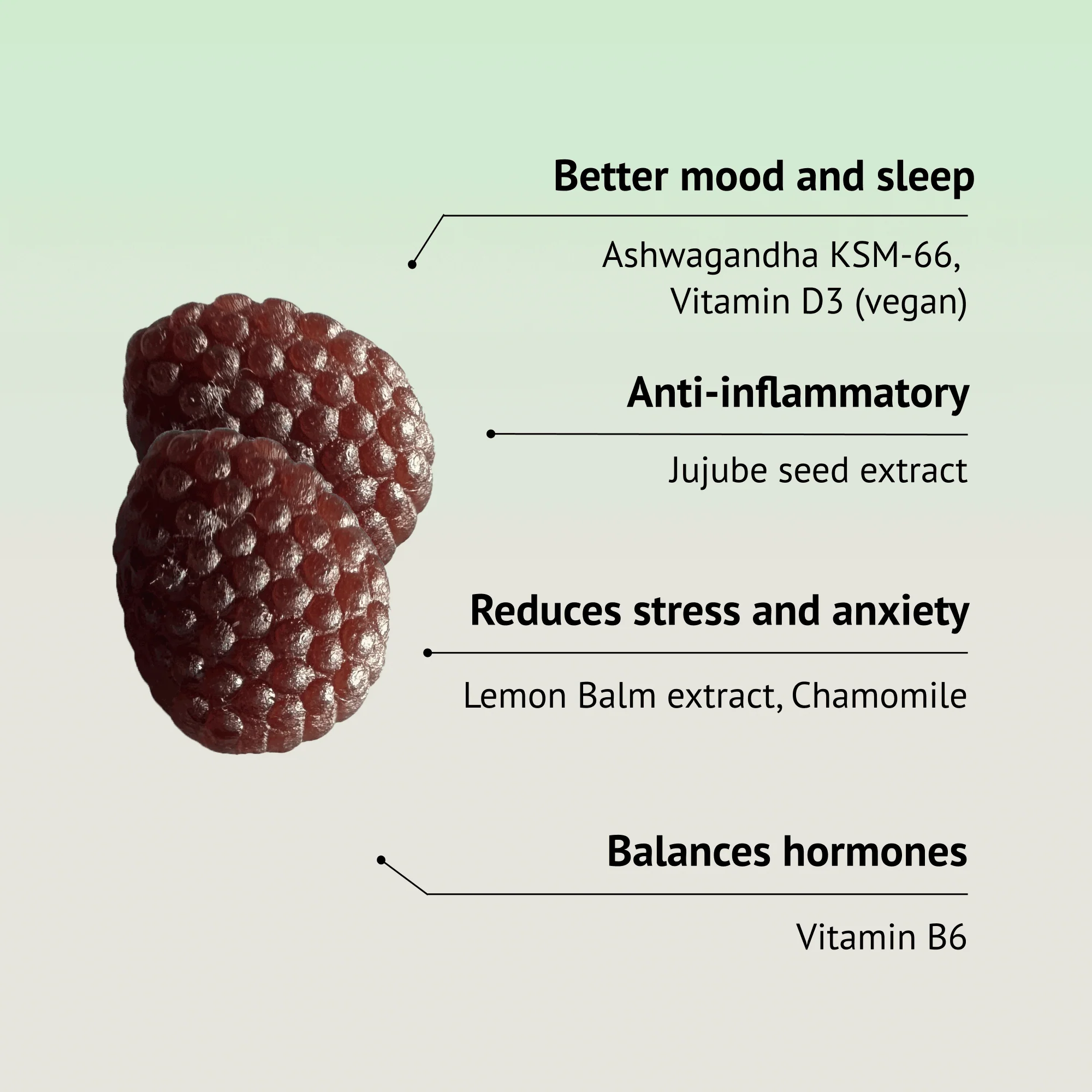 Manifesto Nutrition Serene Vitamin Gummies Refill - Image 4